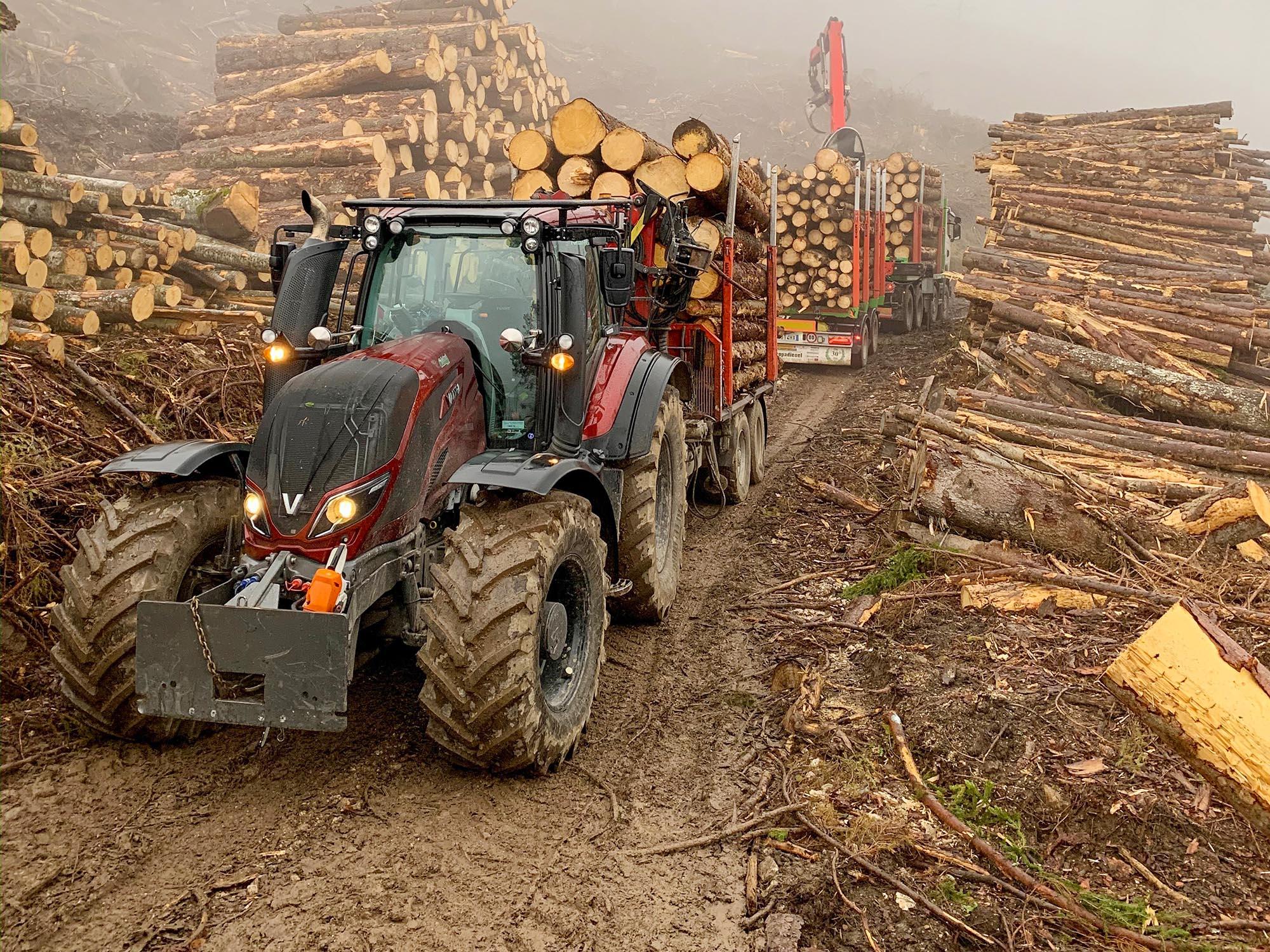 Il T174 è impiegato soprattutto per trasporto di legname.